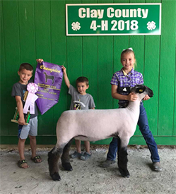 Edge CLub Lambs Winners