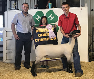 Edge Club Lambs Winners
