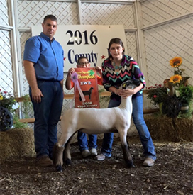 Edge Club Lambs Winners