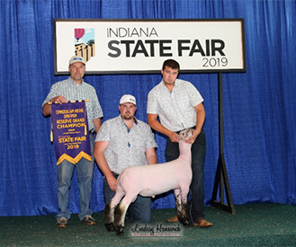Edge Club Lambs Winners