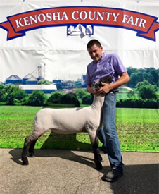 Edge Club Lambs Winners