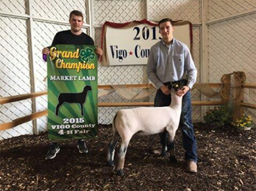 Edge Club Lambs Winners