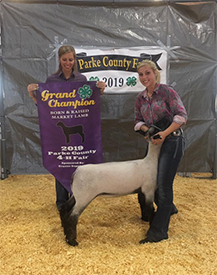 Edge Club Lambs Winners