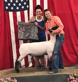 Edge CLub Lambs Winners