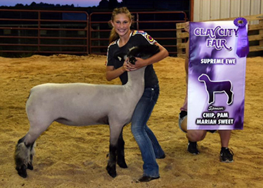 Edge Club Lambs Winners