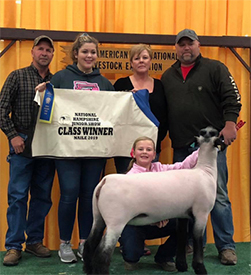 Edge Club Lambs Winners