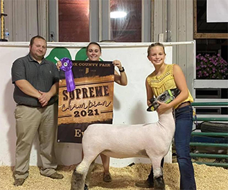 Edge Club Lambs Winners