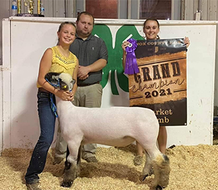 Edge Club Lambs Winners