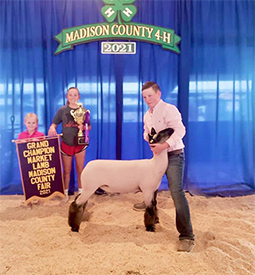 Edge Club Lambs Winners
