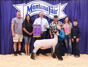 Edge Club Lambs Winners