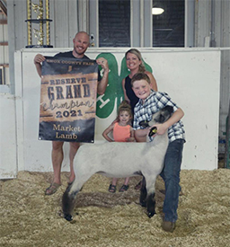 Edge Club Lambs Winners