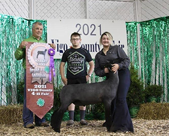 Edge Club Lambs Winners