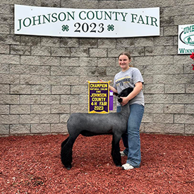 Edge Livestock Winners