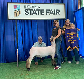 Edge Livestock Winners