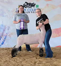 Edge Livestock Winners